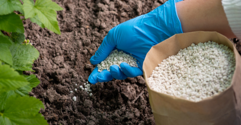 Ammoniacal Fertilizers