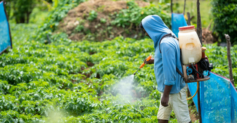 Ammonium Fertilizer Benefits