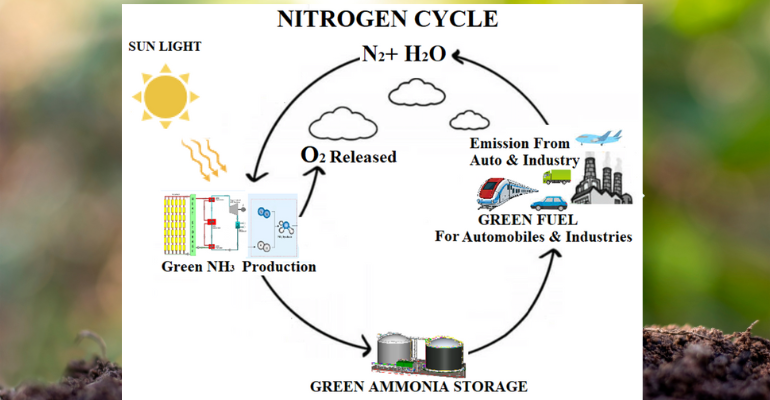 Nitrogen Energy Cycle